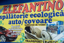 Pitesti - Spalatorie Covoare Pitesti - Elefantino Carpet